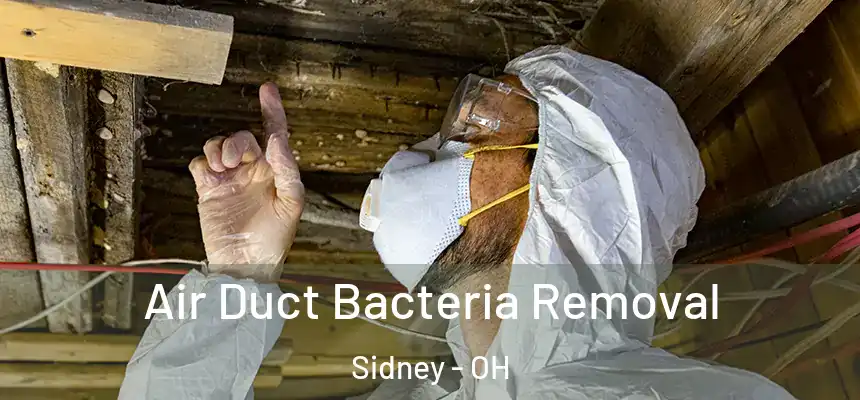Air Duct Bacteria Removal Sidney - OH