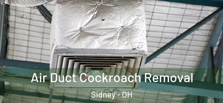 Air Duct Cockroach Removal Sidney - OH