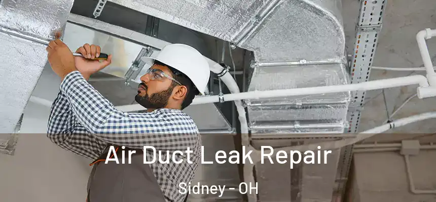  Air Duct Leak Repair Sidney - OH
