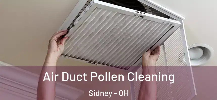  Air Duct Pollen Cleaning Sidney - OH