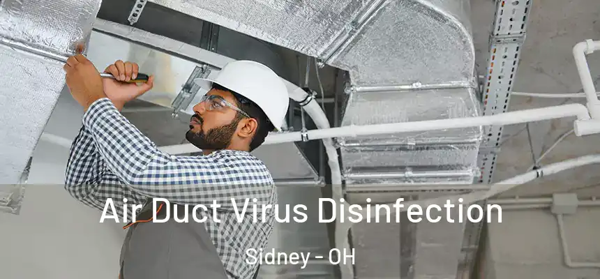  Air Duct Virus Disinfection Sidney - OH