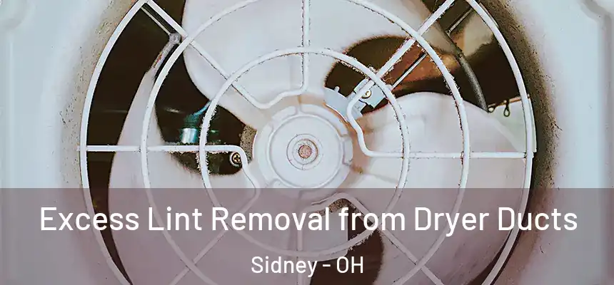  Excess Lint Removal from Dryer Ducts Sidney - OH