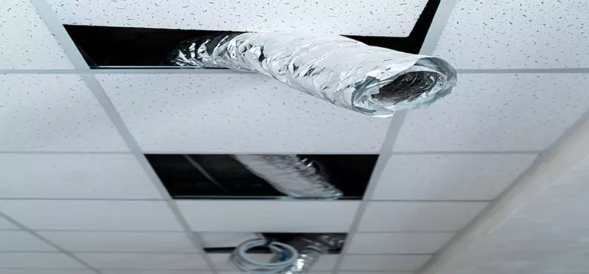 Our Air Duct Pet Hair Removal Services in Sidney, OH