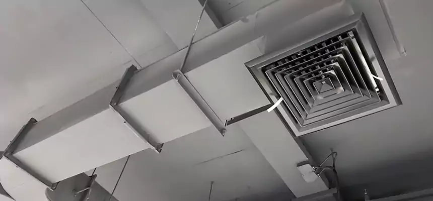 Restorative Allergy Relief Vent Cleaning – Coil, Blower & Housing Detail in Sidney