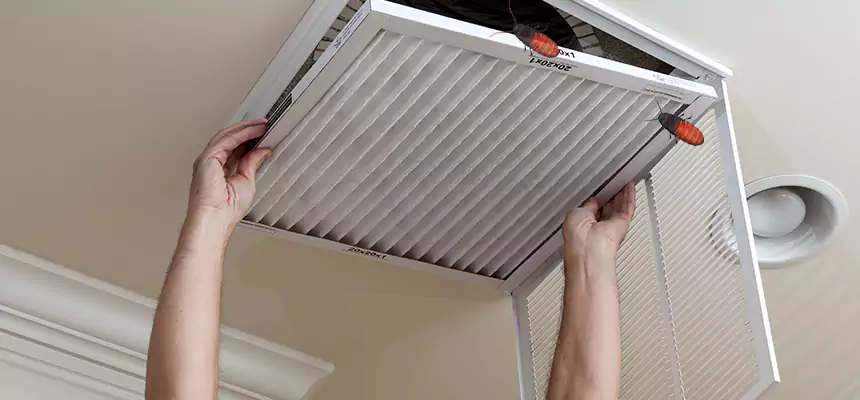 Our Insect Removal from Air Ducts Services in Sidney, OH