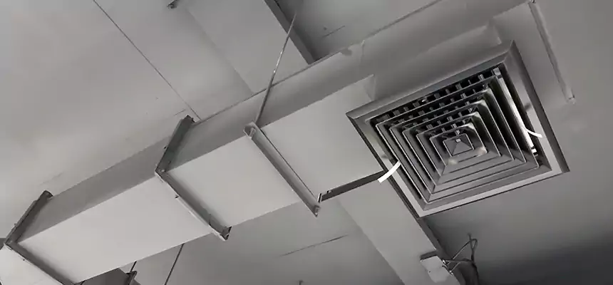 Our Rodent Droppings In Vents Services in Sidney, OH