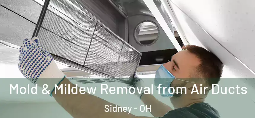  Mold & Mildew Removal from Air Ducts Sidney - OH