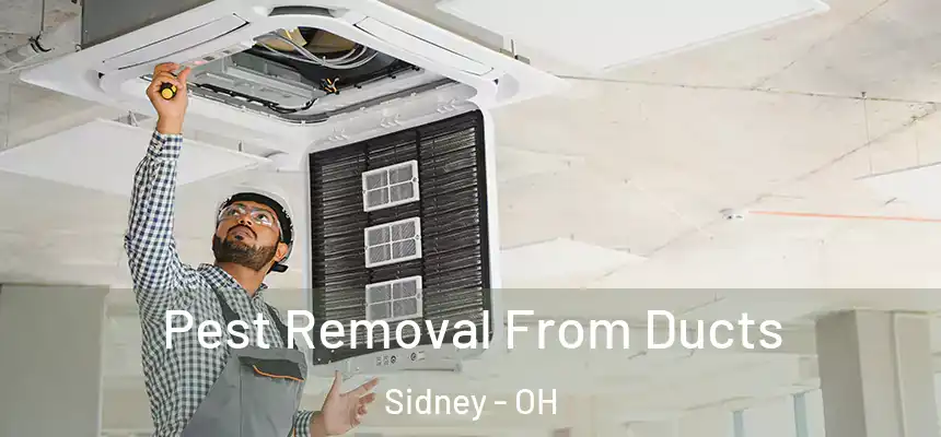 Pest Removal From Ducts Sidney - OH