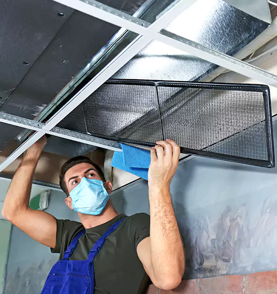 About Air Duct Bacteria Removal in Sidney