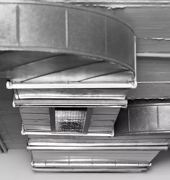 Professional Air Duct Pest Removal in Sidney, OH